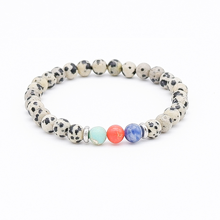 Dalmatian Jasper Beads